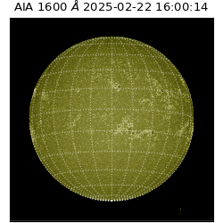 saia - 2025-02-22T16:00:14.126000