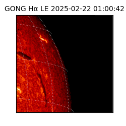 gong - 2025-02-22T01:00:42
