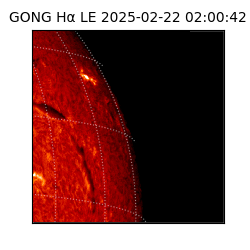 gong - 2025-02-22T02:00:42
