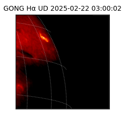 gong - 2025-02-22T03:00:02