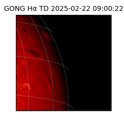 gong - 2025-02-22T09:00:22
