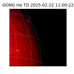 gong - 2025-02-22T11:00:22