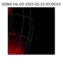 gong - 2025-02-22T03:00:02