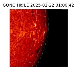 gong - 2025-02-22T01:00:42