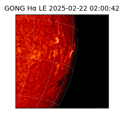 gong - 2025-02-22T02:00:42