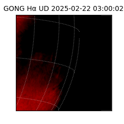 gong - 2025-02-22T03:00:02