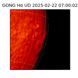 gong - 2025-02-22T07:00:02