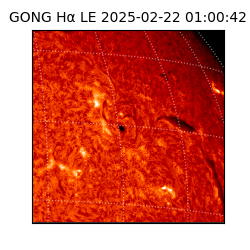 gong - 2025-02-22T01:00:42