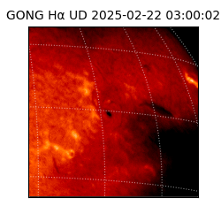 gong - 2025-02-22T03:00:02