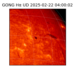 gong - 2025-02-22T04:00:02