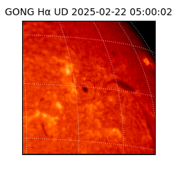 gong - 2025-02-22T05:00:02