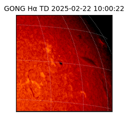 gong - 2025-02-22T10:00:22