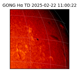 gong - 2025-02-22T11:00:22