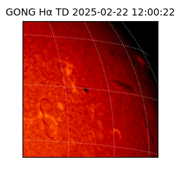 gong - 2025-02-22T12:00:22