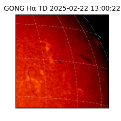 gong - 2025-02-22T13:00:22