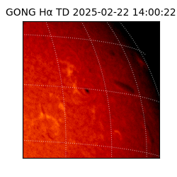 gong - 2025-02-22T14:00:22