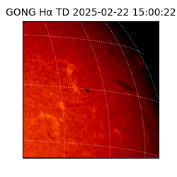 gong - 2025-02-22T15:00:22