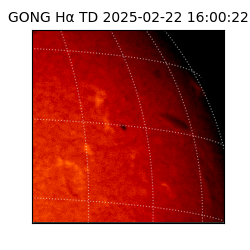 gong - 2025-02-22T16:00:22
