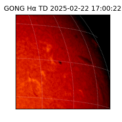 gong - 2025-02-22T17:00:22