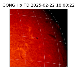 gong - 2025-02-22T18:00:22