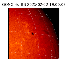 gong - 2025-02-22T19:00:02