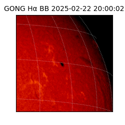 gong - 2025-02-22T20:00:02
