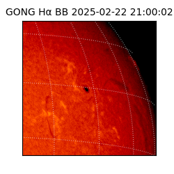 gong - 2025-02-22T21:00:02