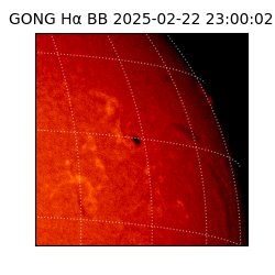 gong - 2025-02-22T23:00:02