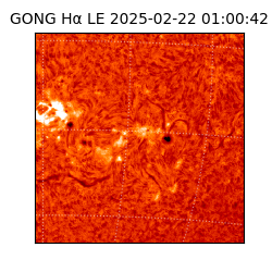 gong - 2025-02-22T01:00:42