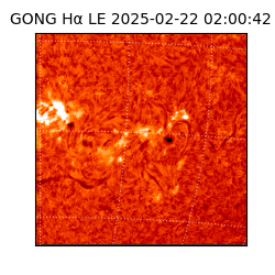 gong - 2025-02-22T02:00:42