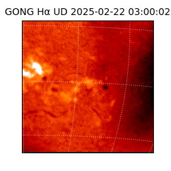 gong - 2025-02-22T03:00:02