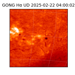 gong - 2025-02-22T04:00:02