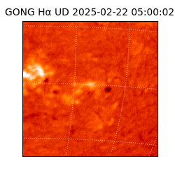 gong - 2025-02-22T05:00:02