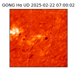 gong - 2025-02-22T07:00:02