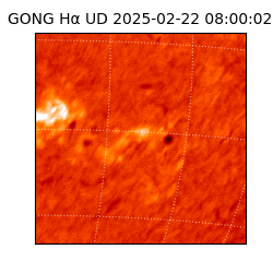 gong - 2025-02-22T08:00:02