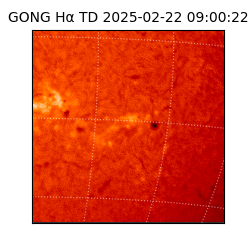 gong - 2025-02-22T09:00:22