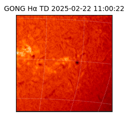 gong - 2025-02-22T11:00:22