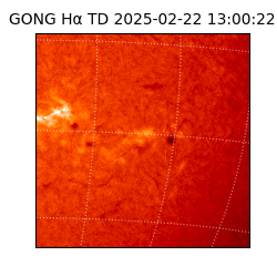 gong - 2025-02-22T13:00:22