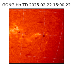 gong - 2025-02-22T15:00:22