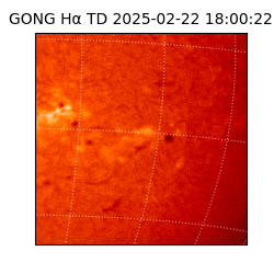 gong - 2025-02-22T18:00:22