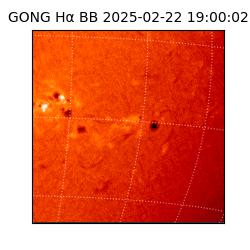 gong - 2025-02-22T19:00:02