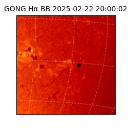 gong - 2025-02-22T20:00:02