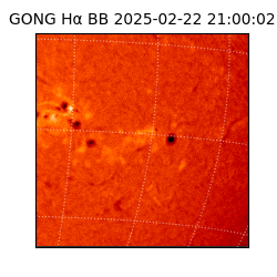 gong - 2025-02-22T21:00:02