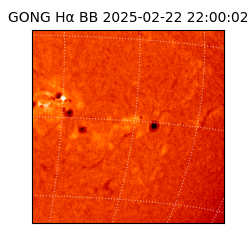 gong - 2025-02-22T22:00:02