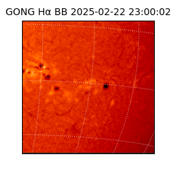 gong - 2025-02-22T23:00:02