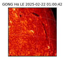 gong - 2025-02-22T01:00:42