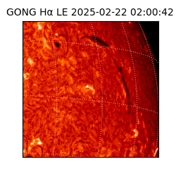 gong - 2025-02-22T02:00:42