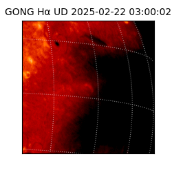 gong - 2025-02-22T03:00:02