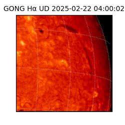 gong - 2025-02-22T04:00:02