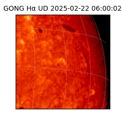 gong - 2025-02-22T06:00:02